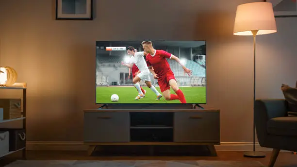 Plasma TV Service Repair